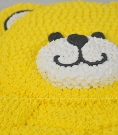 Sweet Teddy Surprise