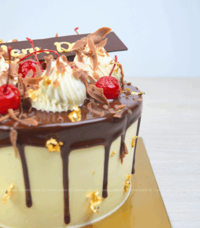 Miracle Dad Chocolate Delight